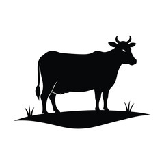 silhouette of Cow standing in rural field
