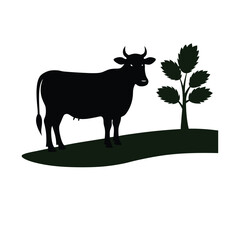 silhouette of Cow standing in rural field
