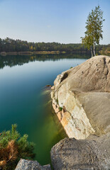 Young Pine Tree by Korostyshiv Canyon