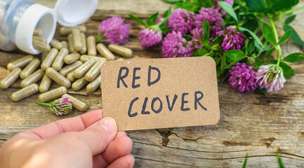 Red Clover Extract and Supplements. Selective Focus.