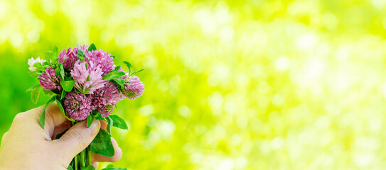 Red Clover Extract and Supplements. Selective Focus.