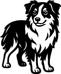 Fototapeta premium Miniature American Shepherd.eps