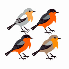 Cute Robin Bird Illustration-Colorful Bird Clipart-Four Different Robin Variants-Perfect for Nature Designs-Wildlife Art-Birdwatching Images