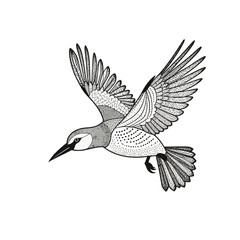 Fototapeta premium Detailed Black and White Bird Illustration - Intricate Wing Patterns - Unique Bird Art Design- Flying Bird Image for Nature Lovers- Illustration for Nature Projects