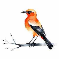 Watercolor Orange Bird Painting-Elegant Bird on Branch Illustration-Artistic Bird Portrait-Vibrant Bird Artwork-Perfect for Nature Lovers