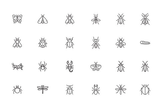 Insects and bugs line icon set, vector illustration collection of various animal and pest outline symbols