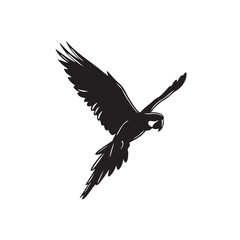 Fototapeta premium Majestic Parrot in Flight A Stunning Silhouette Illustration