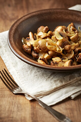Onion with mushrooms. Rustic wooden background.	