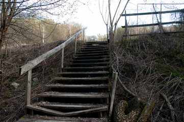 An old wooden staircase seen from below, partially collapsed and weathered with age. Surrounding the base are fallen branches and tree debris. 