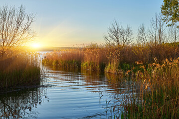Sunrise over lake channel with reeds, trees, and reflections.