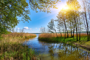 Sunny morning on lake channel with reeds, trees, and reflections.