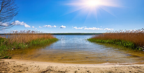 Clear summer day on lake with reeds and blue sky.