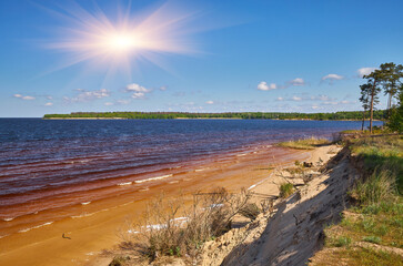 Sandy lake shore with reddish water and uprooted tree on a sunny day