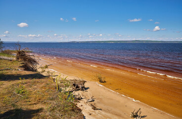 Sandy lake shore with reddish water and uprooted tree on a sunny day