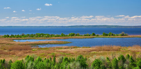 Scenic view of wetland and riverbank under blue sky