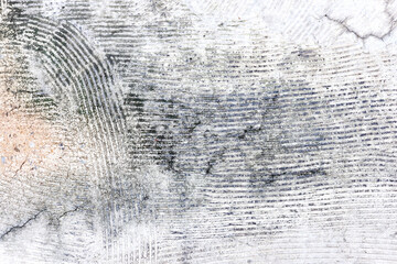 fingerprint on a grunge background