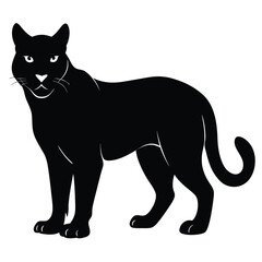 Obraz premium Majestic black panther silhouette standing proud