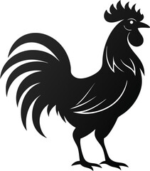 rooster isolated silhouette  on white background 