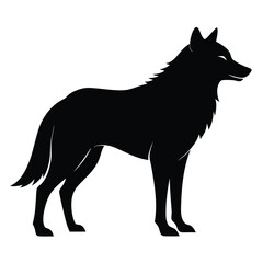Obraz premium Majestic wolf silhouette standing profile view
