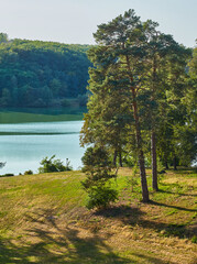 Scenic Lakeside View with Rolling Hills and Trees