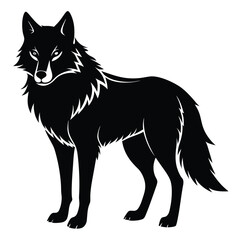Obraz premium Majestic black wolf silhouette standing proudly