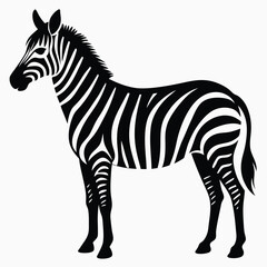 Fototapeta premium Black and white zebra silhouette african animal