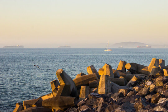 Concrete blocks, known as Dolosse, to prevent coastal erosion, along the coast of Cape Town in South Africa, in the golden light of the late afternoon.