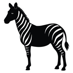 Obraz premium Black and white zebra silhouette african animal