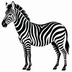 Obraz premium Black and white zebra silhouette african animal