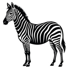 Obraz premium Majestic zebra silhouette african wildlife animal
