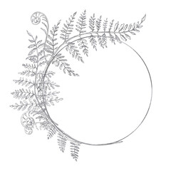 Half wreath with fern leaves. Isolated pencil illustration in a realistic style for the design of postcards, posters, printing on fabric and clothing, flower shop design © Svetlana