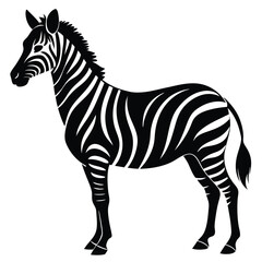 Fototapeta premium Elegant black and white zebra silhouette illustration