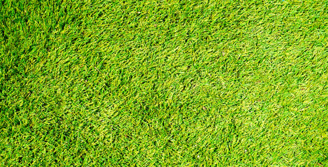 Green grass of a golf course or soccer field as a natural texture background for design. Banner with selective focus.
