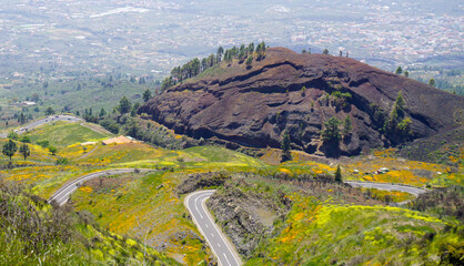 Stunning view from the hills of Arafo, Tenerife,Canary Islands,Spain with a winding mountain road, coastal backdrop and California poppies or Eschscholzia californica flowers in the green grass.