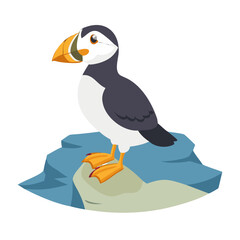 penguin on the beach