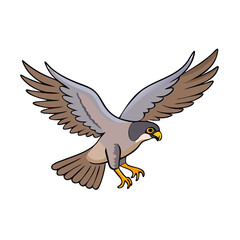 eagle on a white background