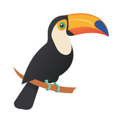 toucan bird cartoon