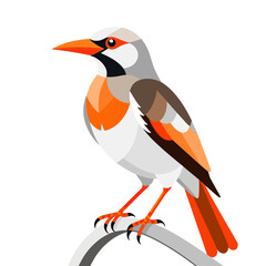 Fototapeta premium Colorful Geometric Bird Illustration- Modern Bird Art Print- Abstract Avian Design with Orange and Gray Accents- Unique Bird Graphic for Home Decor