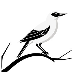 Obraz premium Elegant Loggerhead Shrike Illustration-Minimalist Bird Art-Black and White Bird Drawing-Perched Bird on Branch-Modern Nature Illustration-Unique Bird Design