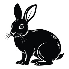 Obraz premium Majestic black rabbit silhouette sitting calmly