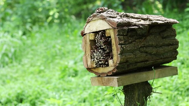 Insect house close-up. Wooden insect house for pest control and pollination of plants. House for beneficial insects made of natural materials. Insect hotel in the park