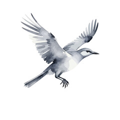 Fototapeta premium Watercolor Bird in Flight-Elegant Gray Bird Illustration-Serene Avian Artwork-Soaring Bird Image-Artistic Bird Painting-Beautiful Bird Decoration