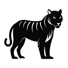 Obraz premium Majestic black tiger silhouette standing tall