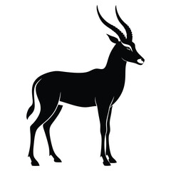 Obraz premium Majestic impala silhouette african antelope wildlife