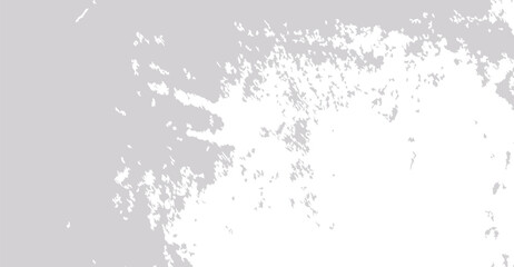 Obraz premium Subtle Grey and White Grunge Texture Background with Delicate Distressed Effects for Creative Design Projects that Need Sophistication and Unique Visual Appeal