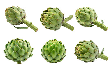 Fototapeta premium Several fresh green artichokes are isolated on transparent background in a studio shot