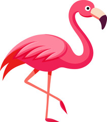 Flamingo  vector ,white background