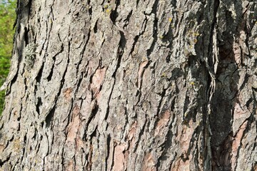 Obraz premium Seascape. View of the sea coast in the area of the volcano Karadag. Crimea