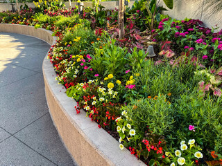 Flowerbed lining a building's walkway