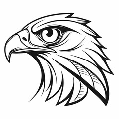 Majestic eagle head profile black and white illustration